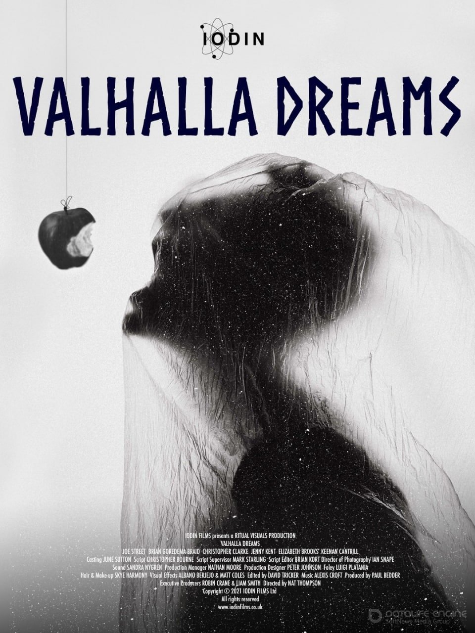 Постер к фильму "Мечты о Вальгалле"